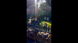 House decorating for Easter season