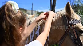 Czechia: Traditional Easter horse ride held in Czechia's Lukavec