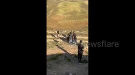 Under the army’s cover, Israeli settler mobs attacked the village of Susya in Masafer Yatta, Hebron