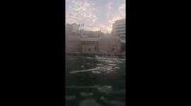 Dog Dives Deep Underwater to Fetch Bone