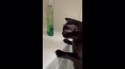 temp