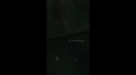 Zombie like creature half of he's face missing/decaying must see never before seen viewer descresion is totally advised