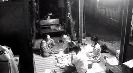 Snake slithers across floor as family have picnic