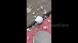 US: Huge hail in Teays Valley