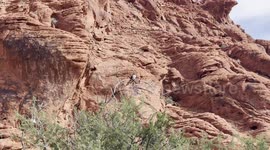 Father and Son Explore Red Rock Canyon Just Outside Las Vegas Strip in Nevada - End Up on EPIC Hike!