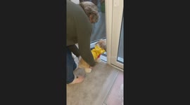 'It's a NO to the rain from her!' - Cute dog refuses to leave house during rain