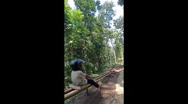 Child rides epic downhill track made from palm trees
