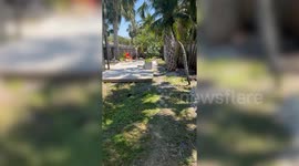 90s actors Jeremy London and Corin Nemec do yardwork for hurricane victims