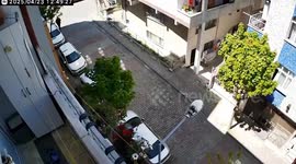 Türkiye: CCTV footages show moments of panic as 6.2 magnitude earthquake shakes Istanbul