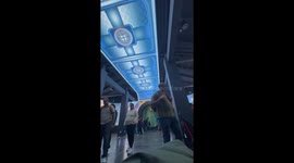 SeaWorld Jellyfish encounter