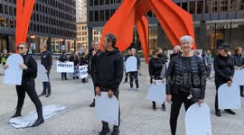 US: Chicago protest highlights concerns about democratic integrity