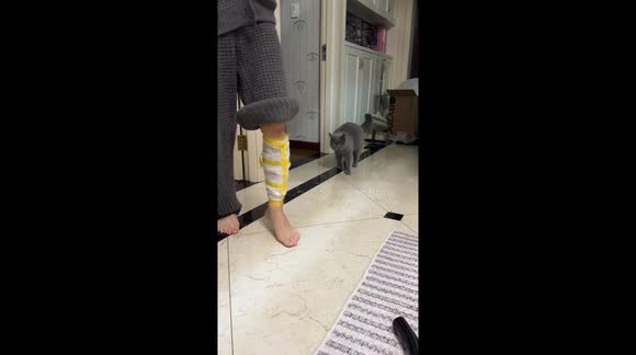 Cat imitates limping owner in Zhejiang