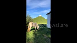 Tourists flock to China's 'matcha volcano' - a manmade hill painted like Mount Fuji