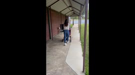 Little push turns grandma’s walker ride into a hilarious tumble