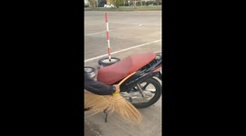 Deadly king cobra caught under motorcycle seat