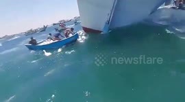 Desperate scramble to save sheep after livestock cargo ship capsizes near Yemen