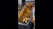 temp