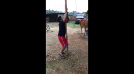 Kid trying to climb on a bamboo pole and fails at the beginning.