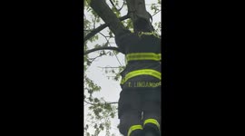 Brave Firefighter Rescues Terrified Cat Stuck 25 Feet High in Indiana