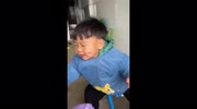 Crafty dog steals sausage from toddler... sparking fits of tears
