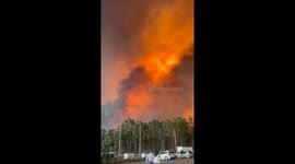Portugal: Smoke fills the sky as wildfire rages through Albergaria-a-Velha's plantation