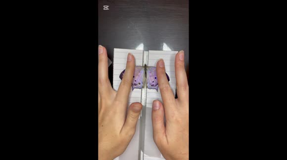 Capturing the iridescent beauty of a Mother of Pearl Butterfly through pinning