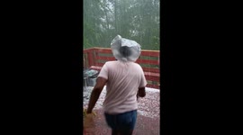 Surprise Hail Storm Hits Sunny Georgia Suburbs Causing a Kid & Dog Frenzy!