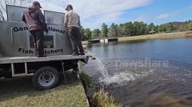 Thousands of Rainbow Trout Stocked at Fort McCoy Lakes in Wisconsin