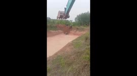 Four elephants stuck in pond are rescued in northern Thailand