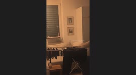 Feline antics: Cat chooses cloth dryer stand as perch and learns it's too fragile