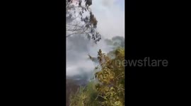 Israel: A fire broke out in the Eshtaol forest near the settlements