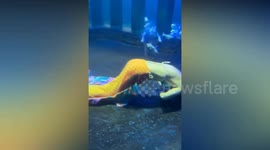 Comatose swimmer sinks to bottom in terrifying underwater drama