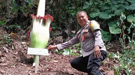 DISCOVERY OF RARE FLOWERS
