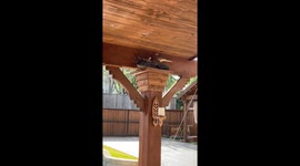 I put my husband's shoes up there to block them from landing. Instead they decided I was gifting them a cozier nest.