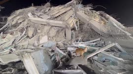 Thailand: At least 28 dead, 81 trapped after strong quakes rock Myanmar, Thailand