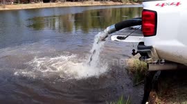 US: US Fish And Wildlife Service Stocks Rainbow Trout At Fort McCoy For 2025