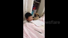 Dog comforts young boy in tears over homework struggles