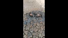 Children play in mud in Jiangsu, China