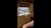 temp