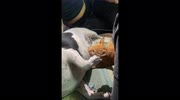 temp