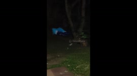 Australian sitting out the backyard possum comes up and almost attacks him