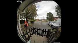 Comedic scene: Dog runs to greet the postman who quickly turns and runs away