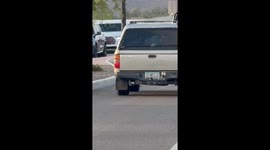 Cow Runs Across Busy Road