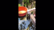 temp