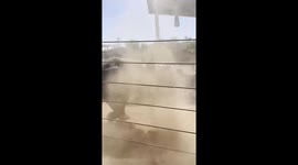 Energy Overload. Chutti the Rhino Celebrates Save the Rhino Day With Zoomies