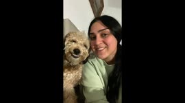 Dog imitates owner smiling for the camera in Villa del Río, Spain