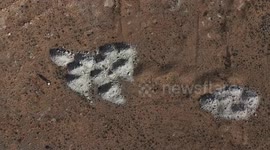 Syria: Anadolu captures footage of largest known Assad-era mass grave uncovered in Al-Tal