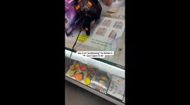 Fearless TikToker fakes Britain’s Got Talent audition in hilariously awkward series