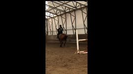 'Why Do You Have Such a Bad Back?' - Entertaining fail compilation features rider falling off horses