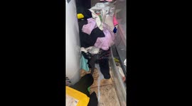 Cat Hides Inside Drawer Of Messy Closet